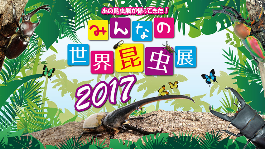 『みんなの世界昆虫展 2017』