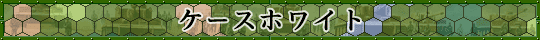 ケースホワイト