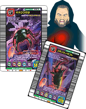 アダーコレクション