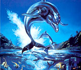 『ecco THE DOLPHIN』